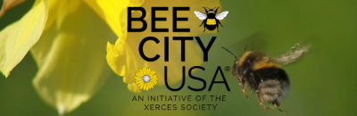 BeeCityUSA